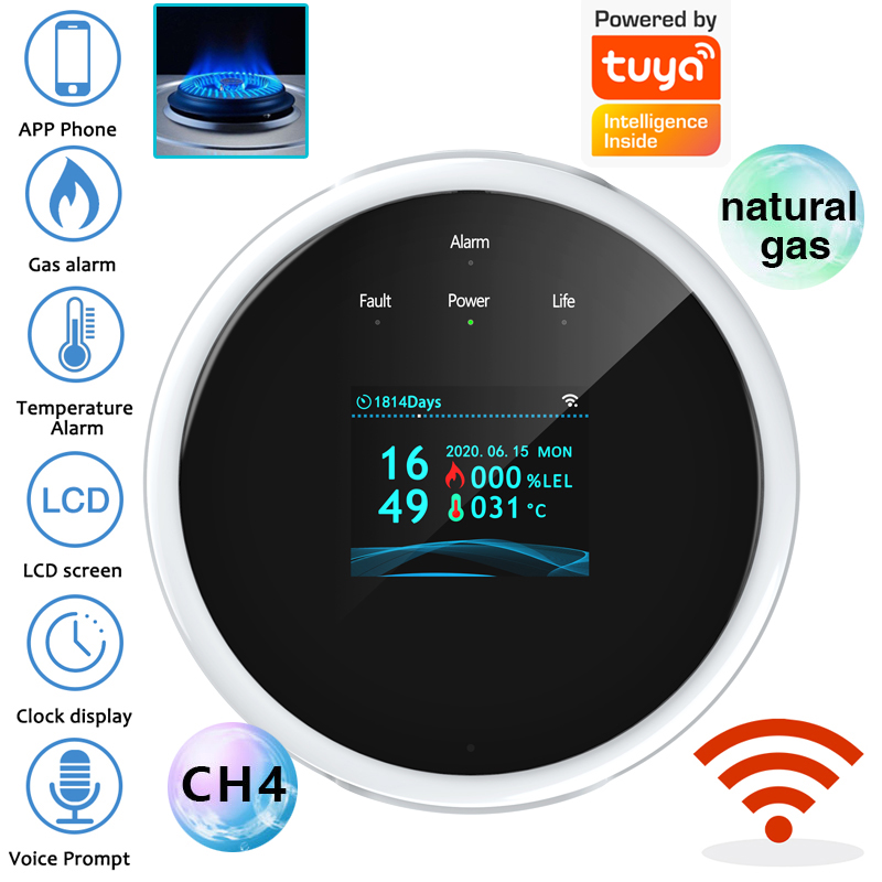 Home Security Upgrades - Sensor de alarma de gas WiFi