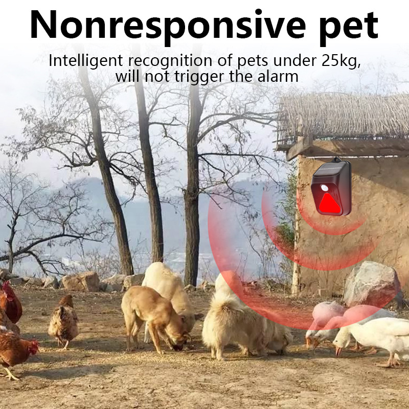 Luz de alarma impermeable con  - Home Security Yard Sensors reseña y precio