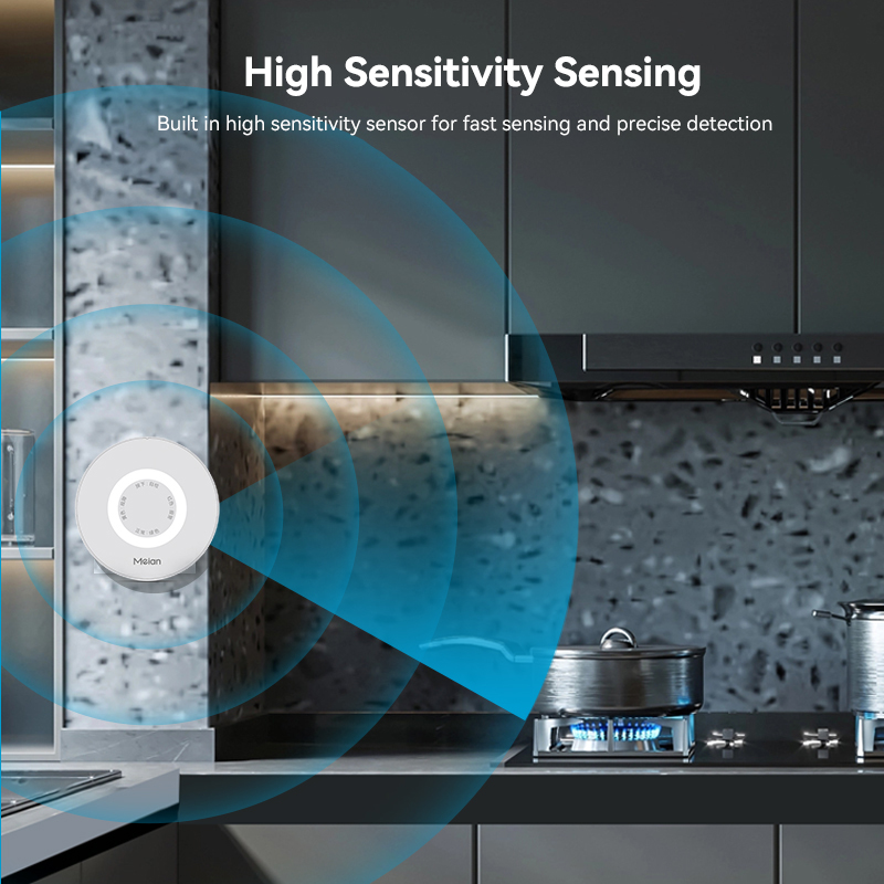 Meian Zigbee-Detector de Gas T - Home Security Kitchener reseña y precio