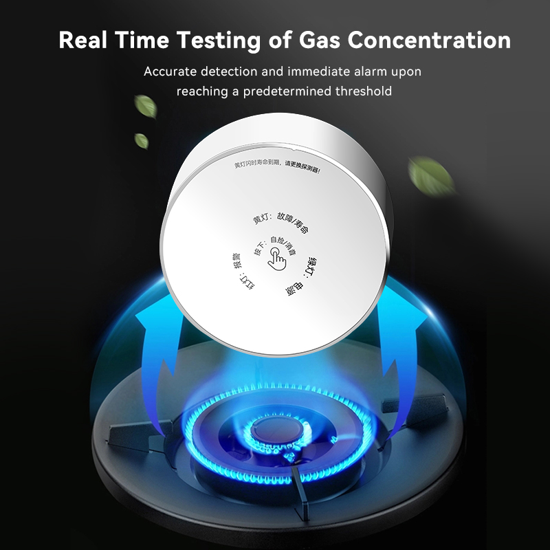 Meian Zigbee-Detector de Gas T - Home Security Kitchener reseña y precio
