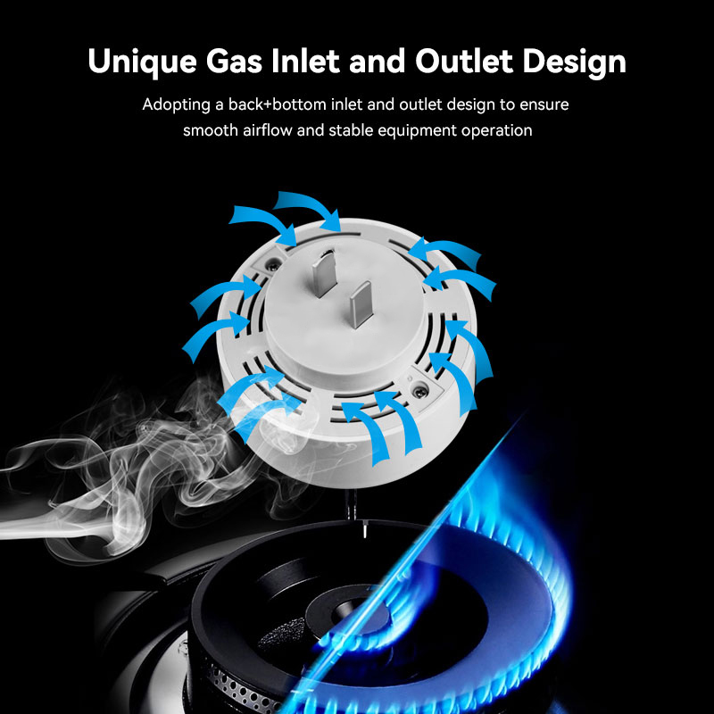 Meian Zigbee-Detector de Gas T - Home Security Kitchener reseña y precio