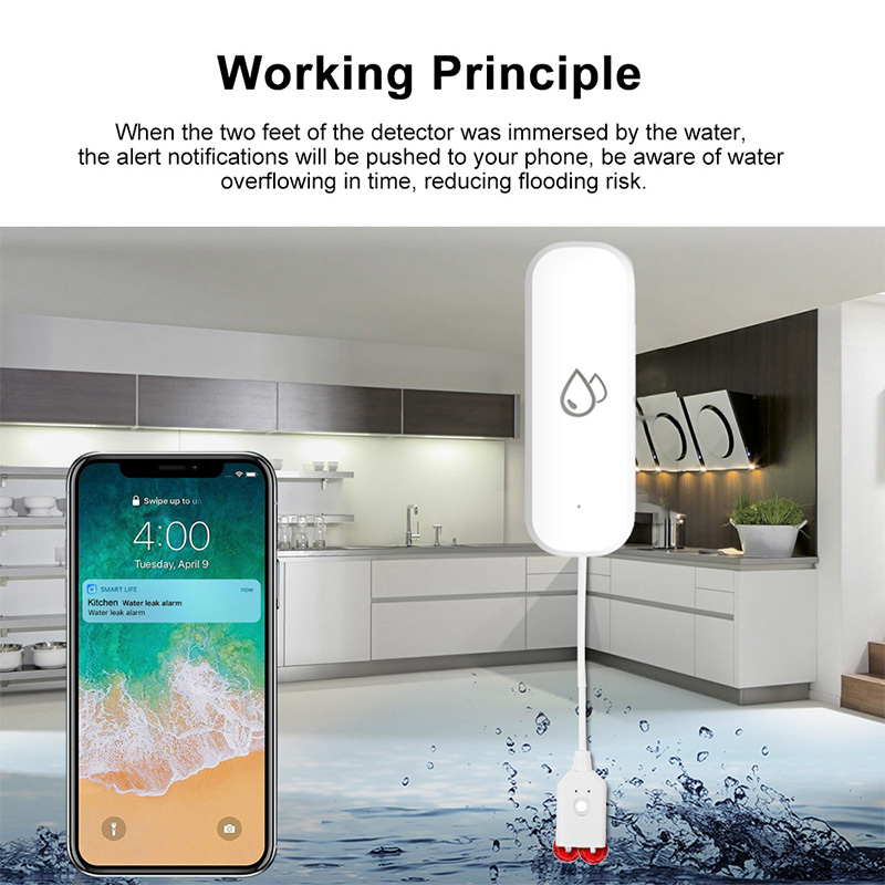 Sensor de Alarma de Fugas de A - Home Security And Monitoring reseña y precio