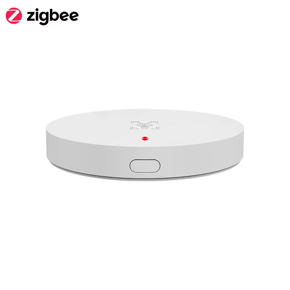 Detector de Presencia Humana T - Home Security Devices reseña y precio