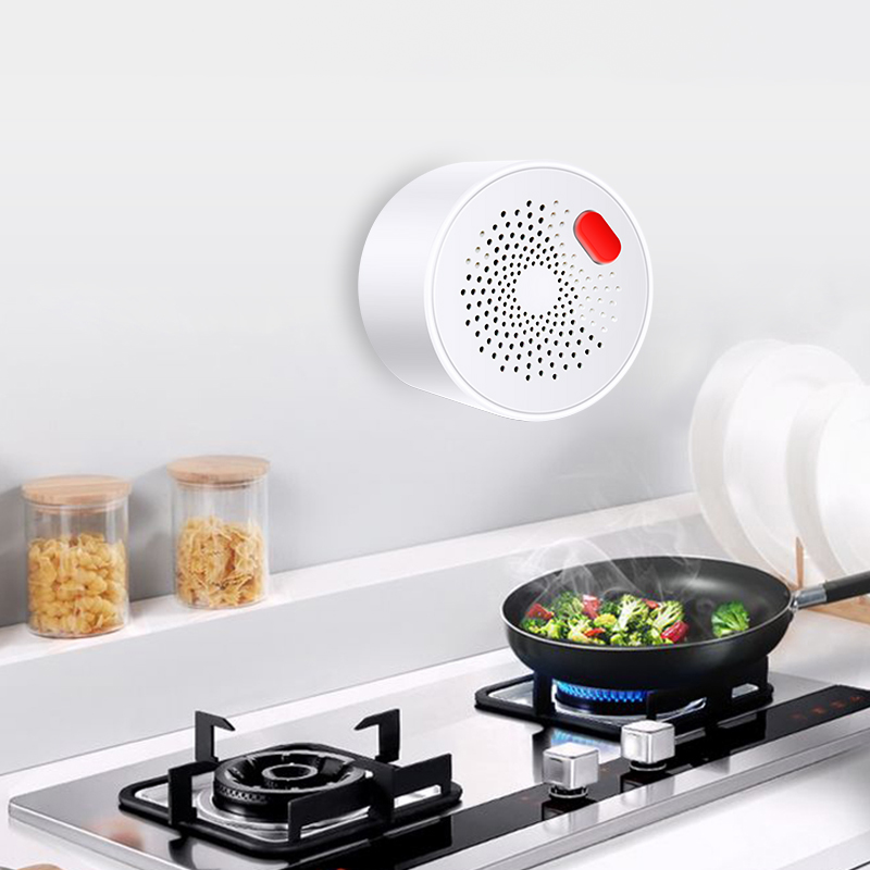 Tuya-Sensor de Gas Natural par - Home Security Devices reseña y precio