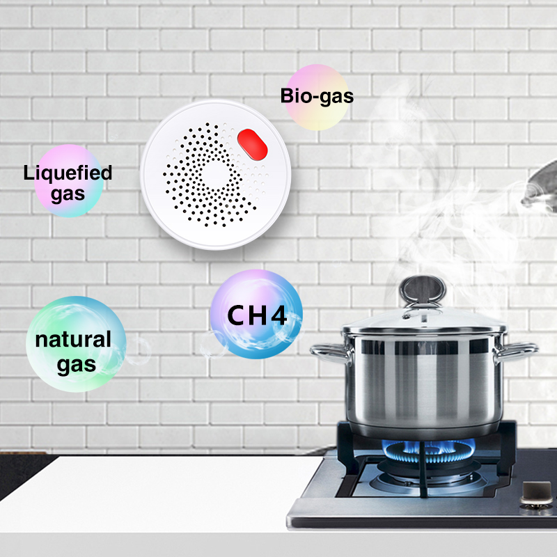 Tuya-Sensor de Gas Natural par - Home Security Devices reseña y precio